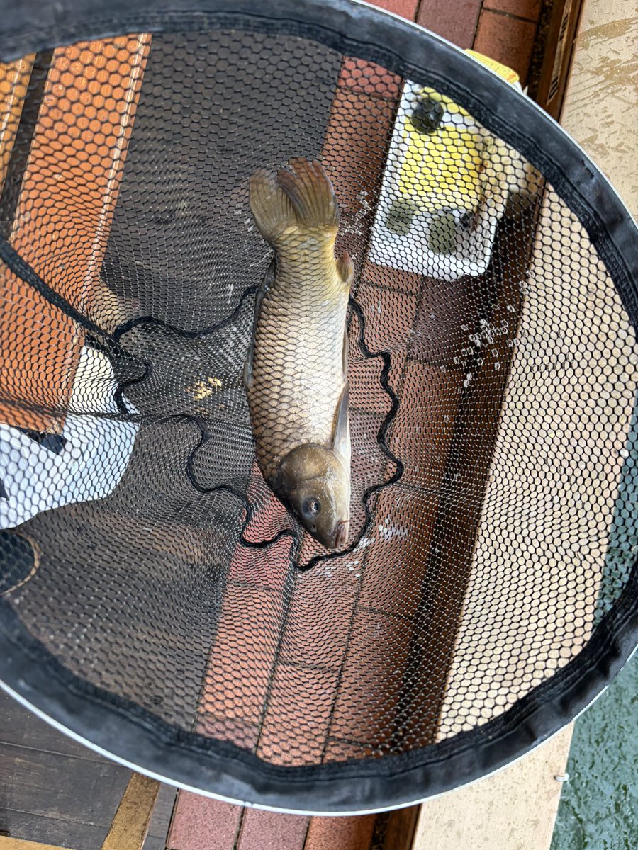 c0__sho's tweet photo. 🎣 https://t.co/2yqCKDihZi