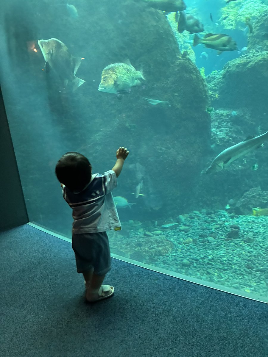 shigure326's tweet photo. この間江ノ水行ってきた🐟 https://t.co/wEbiacrMfs