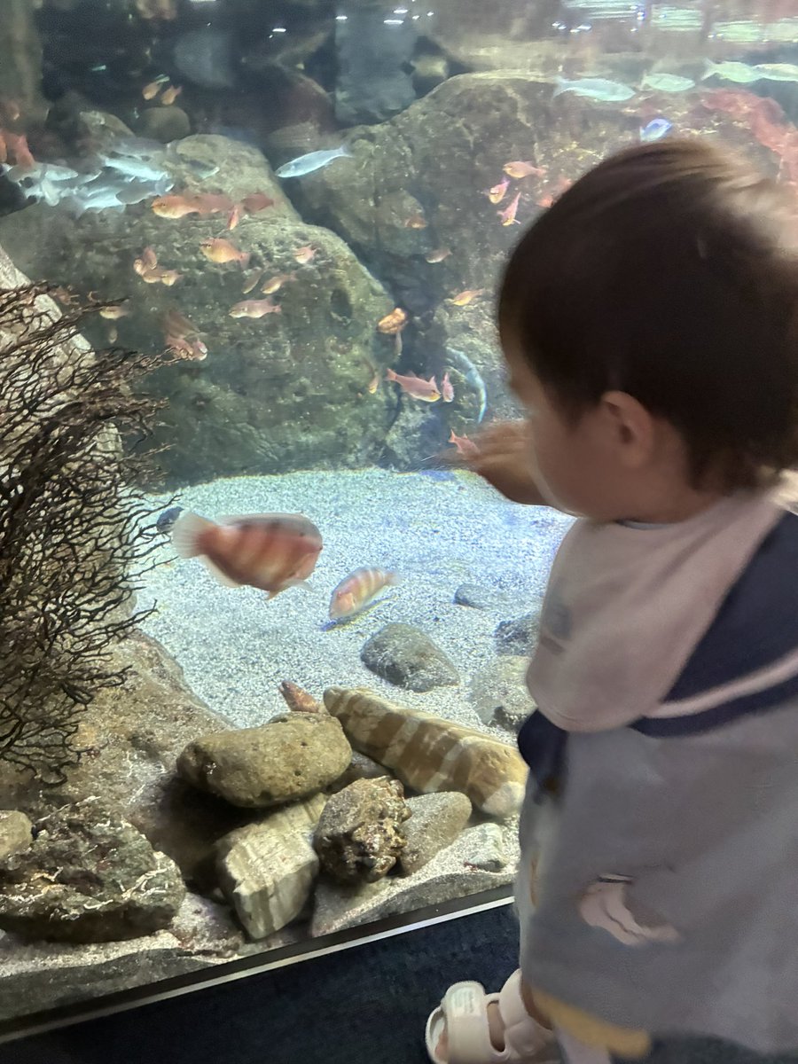shigure326's tweet photo. この間江ノ水行ってきた🐟 https://t.co/wEbiacrMfs