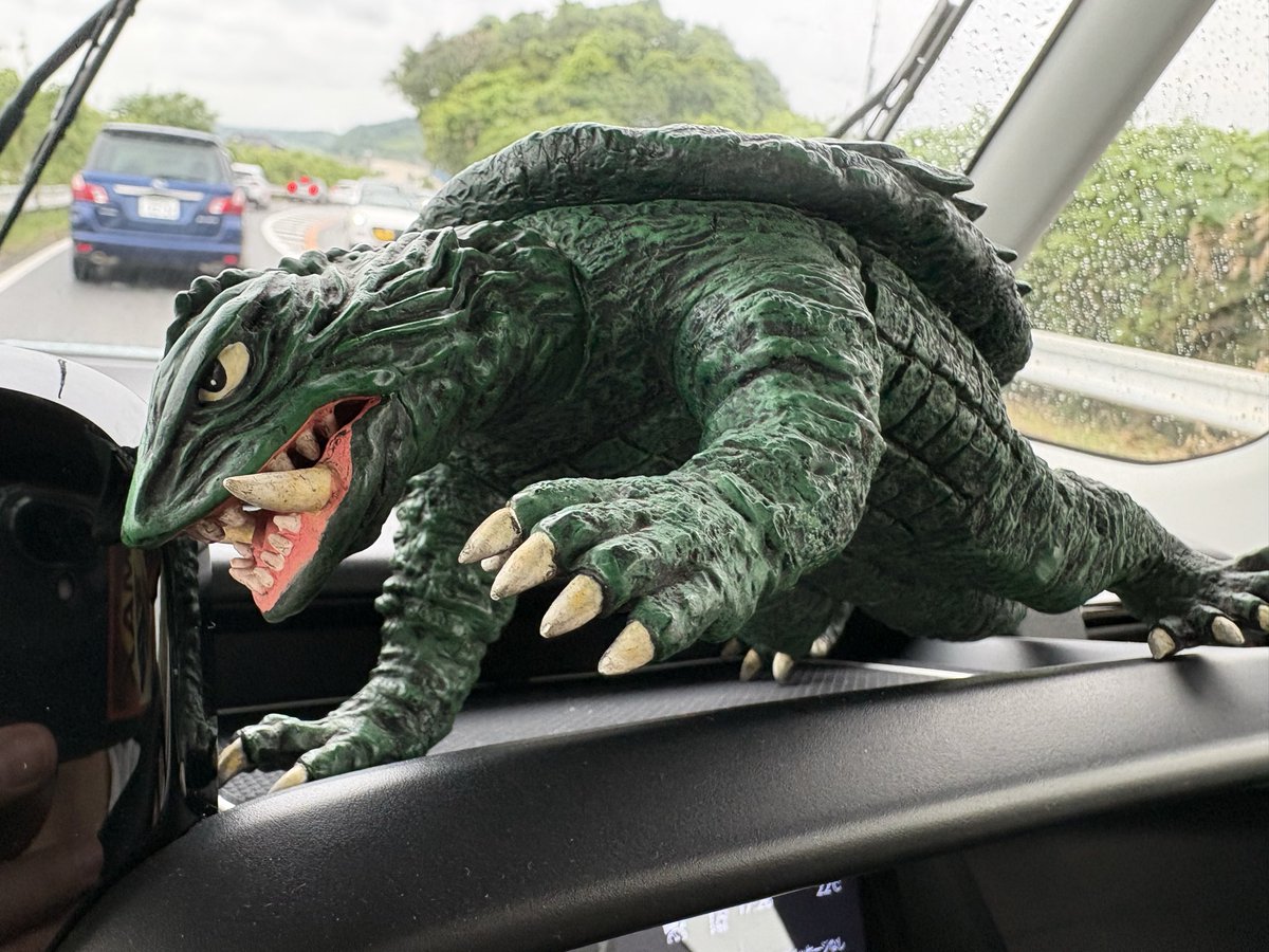 rif_ryu's tweet photo. この瞳に見つめられてお迎えしちゃいました。
色味もポスターみたいなエメラルドグリーンでとても好み。 https://t.co/QruGSK9SC0