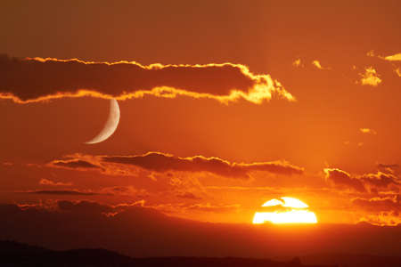 BlueRose007007's tweet photo. 太陽に恋をして

会えない夜に涙する

諦めかけたその時に

神様はご褒美をくれる

思い続けるのは大切だよと

あなたが私を見つめるから

私は恥ずかしくて

雲隠れ https://t.co/rk98CUEi8C
