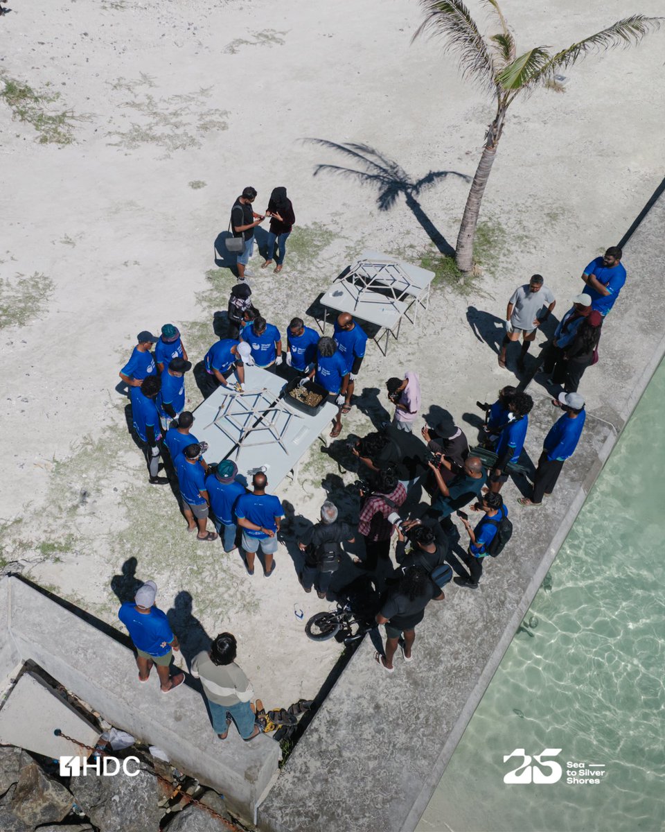 hdcmaldives's tweet photo. https://t.co/vujI3maIAp