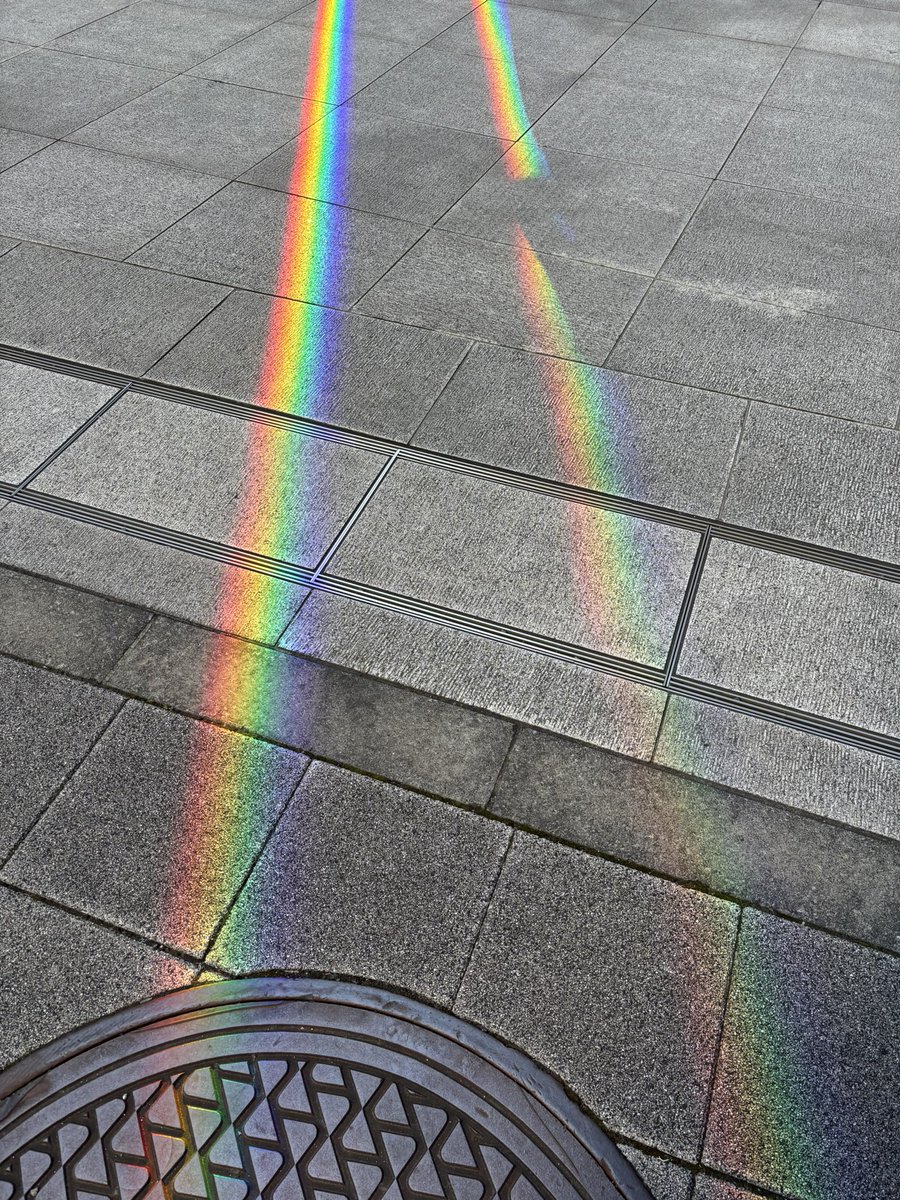 noraterrier's tweet photo. 「希望の虹」

昨日、夫が退院。無事に元気に帰ってきて本当によかった

昨年秋に検査で引っかかり、1月に病気が確定し、手術で根治を選択。しばらく投薬してから先日入院し手術をうけた。
先生からの術後の連絡で起こりうるリスクを説明されて、え？よかった？となったが、経過はとても良好で良かった https://t.co/DPrV4Ua6Kr