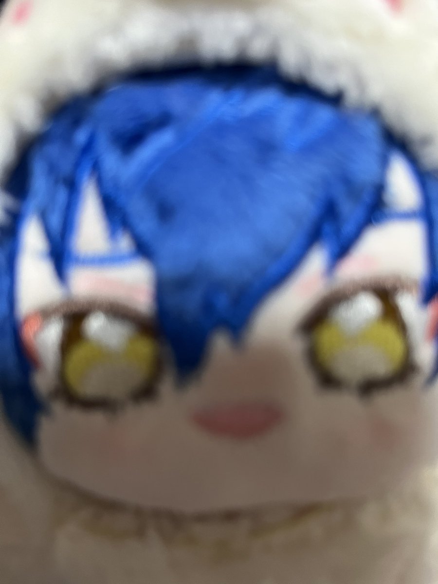 shi04ho's tweet photo. もっちもちなジュンくんいつぬいが我が家へ✨✨かわいいかわいいかわいい💕💕
これからよろしくね☺️☺️ https://t.co/NXpzax6IRD