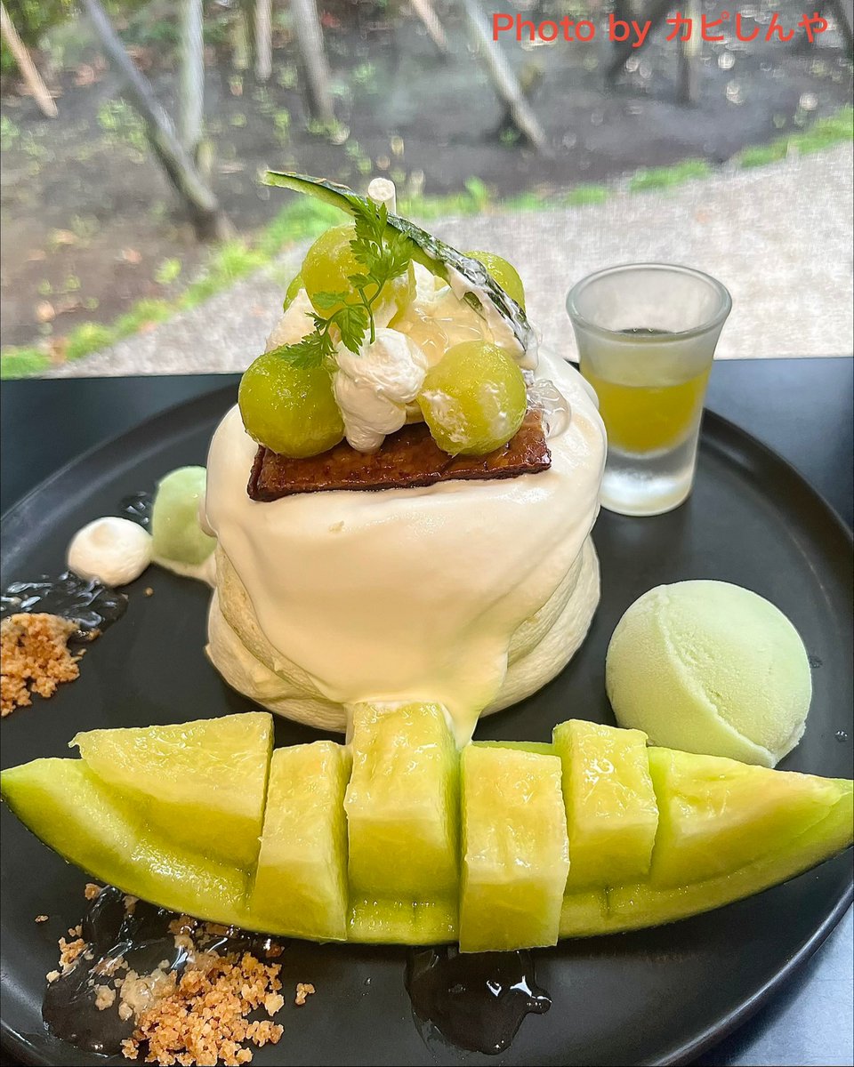 love8capybara's tweet photo. 終日☂️の中、eggg parkでめろんパンケーキを堪能しました🍈😃
#eggg #egggpark #パンケーキ #めろんめろんパンケーキ #メロン #seibulions #隅田 https://t.co/aLQrLSEJtw