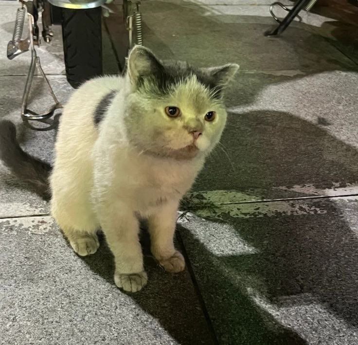 0303_twt's tweet photo. น้องเก่ามาก เก่าจังเลยลู้กเอ้ยยยย https://t.co/2nRKeYnXAE