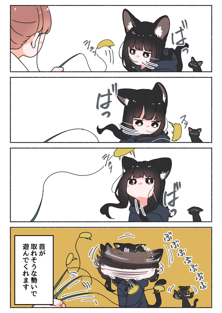 M_terU116's tweet photo. 黒猫ちゃんはアグレッシブ https://t.co/1PQE5gngBW