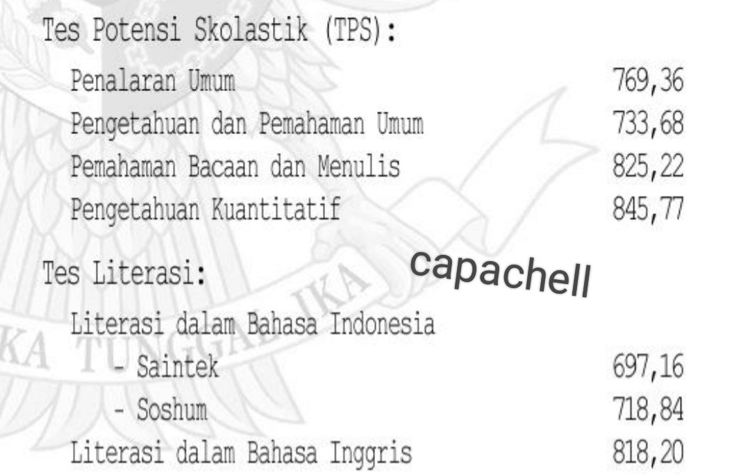 capachel '26 tweet media