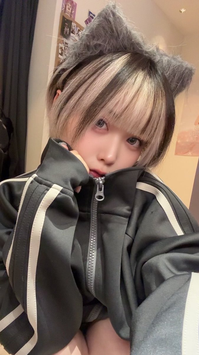 ひより🐾 tweet media
