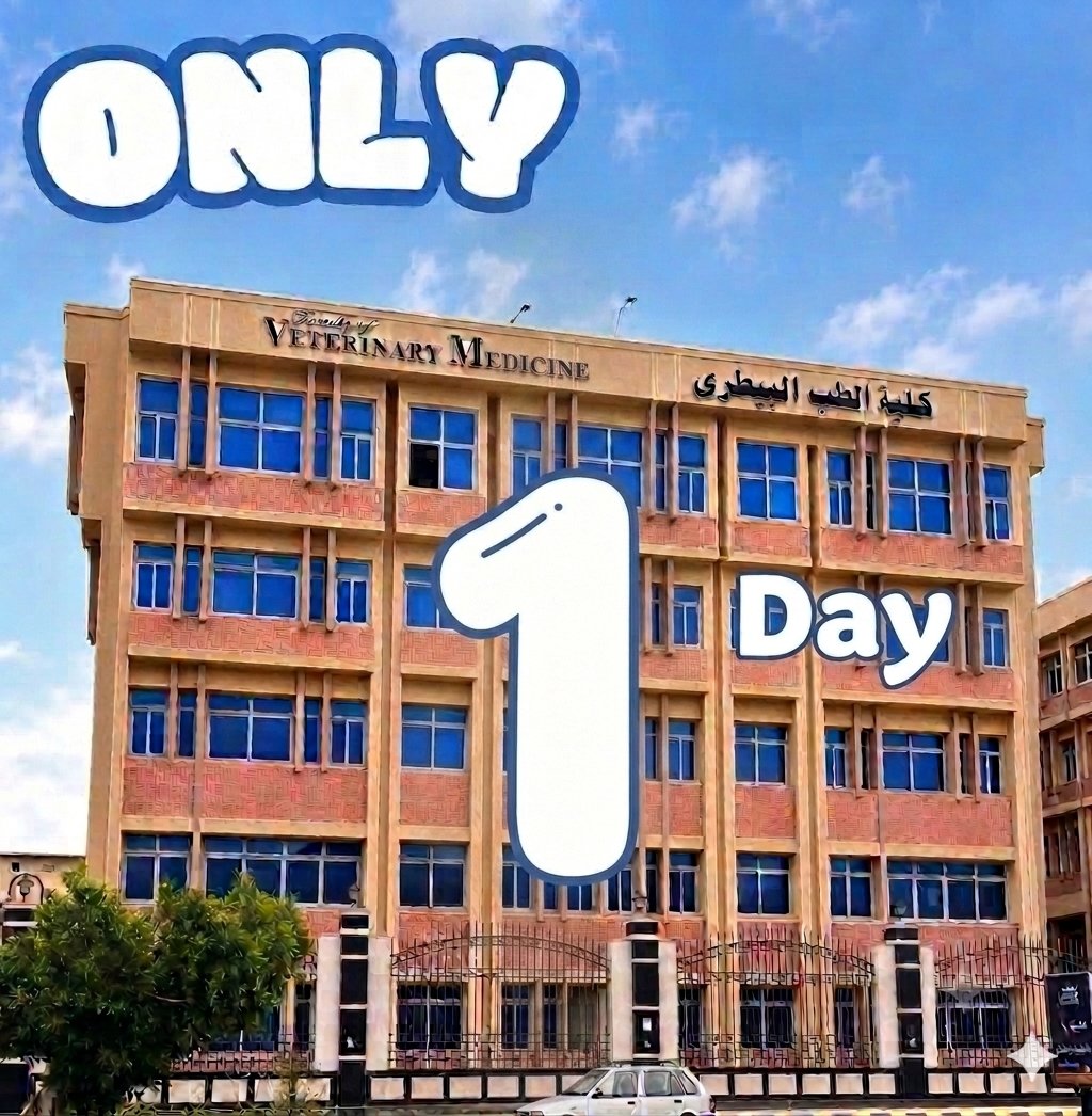 ShahdBahgat11's tweet photo. Almost there💗💗💗💗💗🥹🎓 https://t.co/6GgVzpqLy5