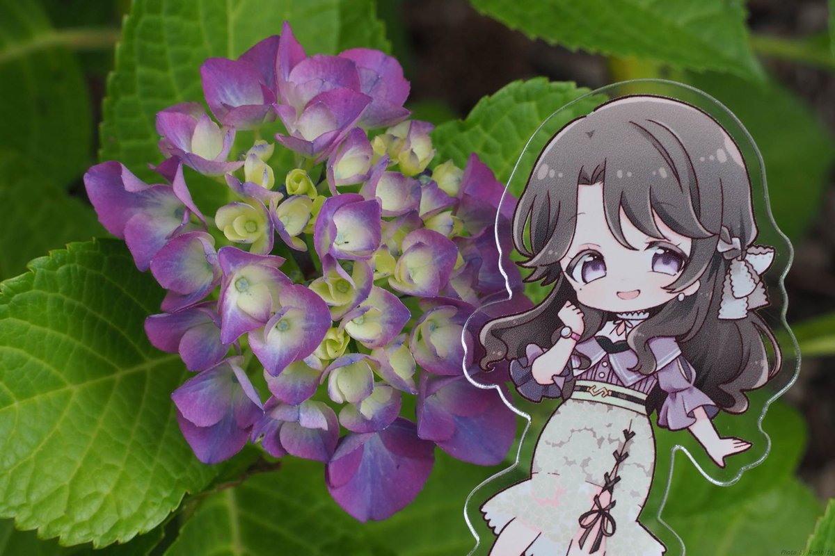 gomineko2's tweet photo. 一昨年撮ったのとは多分違う種類の紫陽花っ
#麗志坂えす https://t.co/lXxKcrb1YA