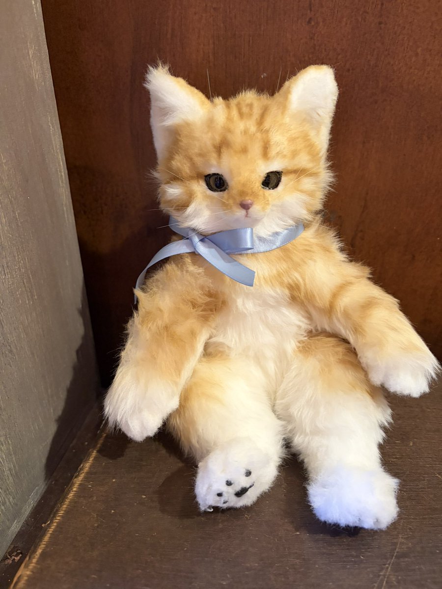 nihirugyu's tweet photo. albERichさん、ネコさん納品。なんという表情でしょう。ふわふわ。早速、旅立ちました。#ニヒル牛 https://t.co/IjMXCZagJq