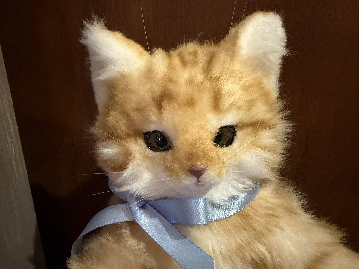 nihirugyu's tweet photo. albERichさん、ネコさん納品。なんという表情でしょう。ふわふわ。早速、旅立ちました。#ニヒル牛 https://t.co/IjMXCZagJq