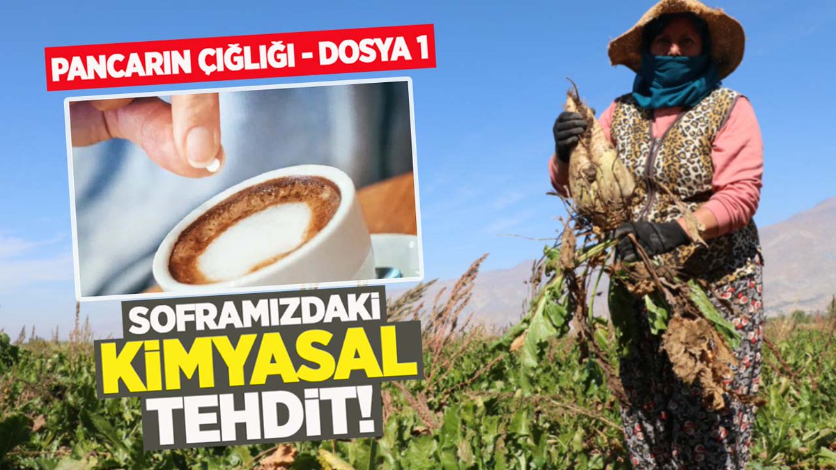 tarimdanhaber's tweet photo. Pancarın çığlığı: Şekerin 'gizli' istilası ve sofralarımızdaki kimyasal tehdit

📍Pancarın Çığlığı dosyasını açıyoruz! Türkiye’nin stratejik başarı öyküsü olan şeker pancarı, tarlalardan raflara uzanan yolculuğunda 'gizli' bir istilayla karşı karşıya. 

📍Yerli üreticinin emeği depolarda kaderine terk edilirken, gümrüklerden kotasız giren kimyasal tatlandırıcılar sofralarımızı nasıl esir aldı? Türkiye’nin şeker gerçeğine dair ezber bozacak bir araştırmanın ilk bölümü başlıyor.

https://t.co/fAqDU6ojLO