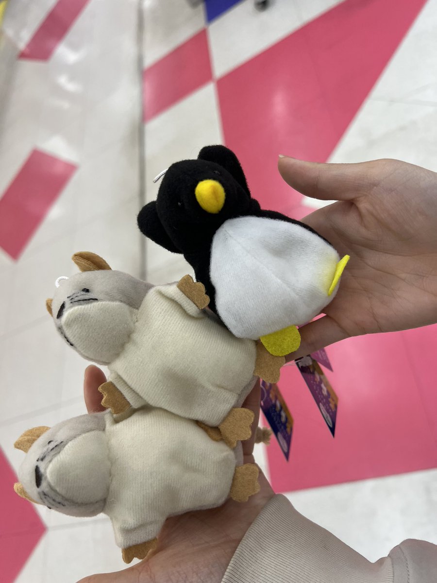 kento_car's tweet photo. やったぜ https://t.co/hVyOBLJOyU