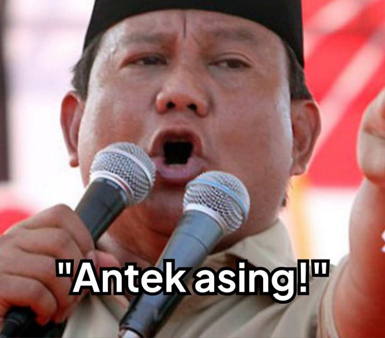 kucing mata kuning tweet media