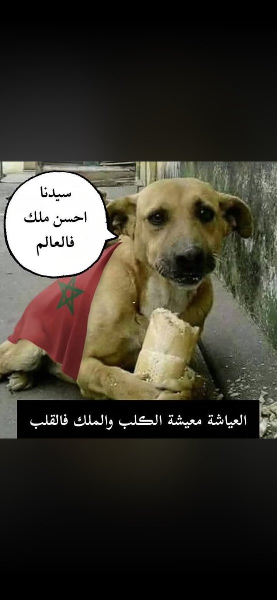 pablodamier's tweet photo. @AlmaAhmed22 https://t.co/WI38TYwS83