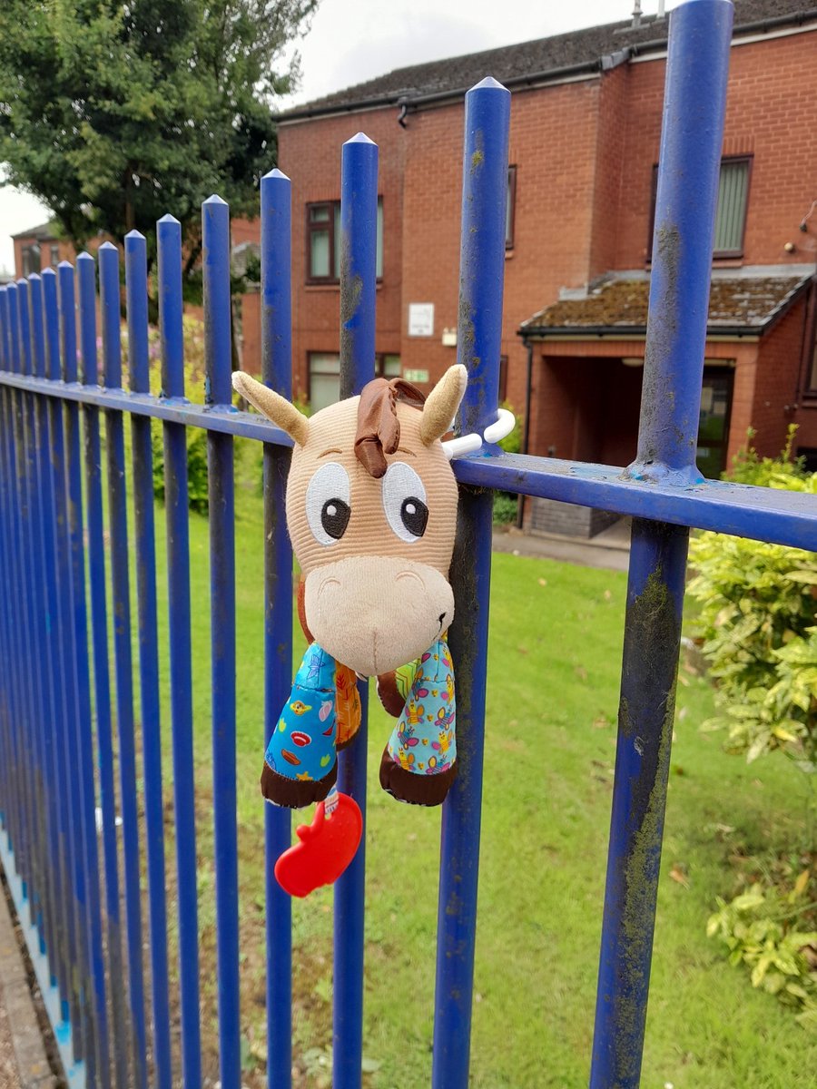 steelygreyste's tweet photo. Heidi not too sure about this new Toy Story 5, poor Bullseye lost in Prestwich. Hopefully he gets home
#Randomshit #BTposse https://t.co/GpS34yAzx6