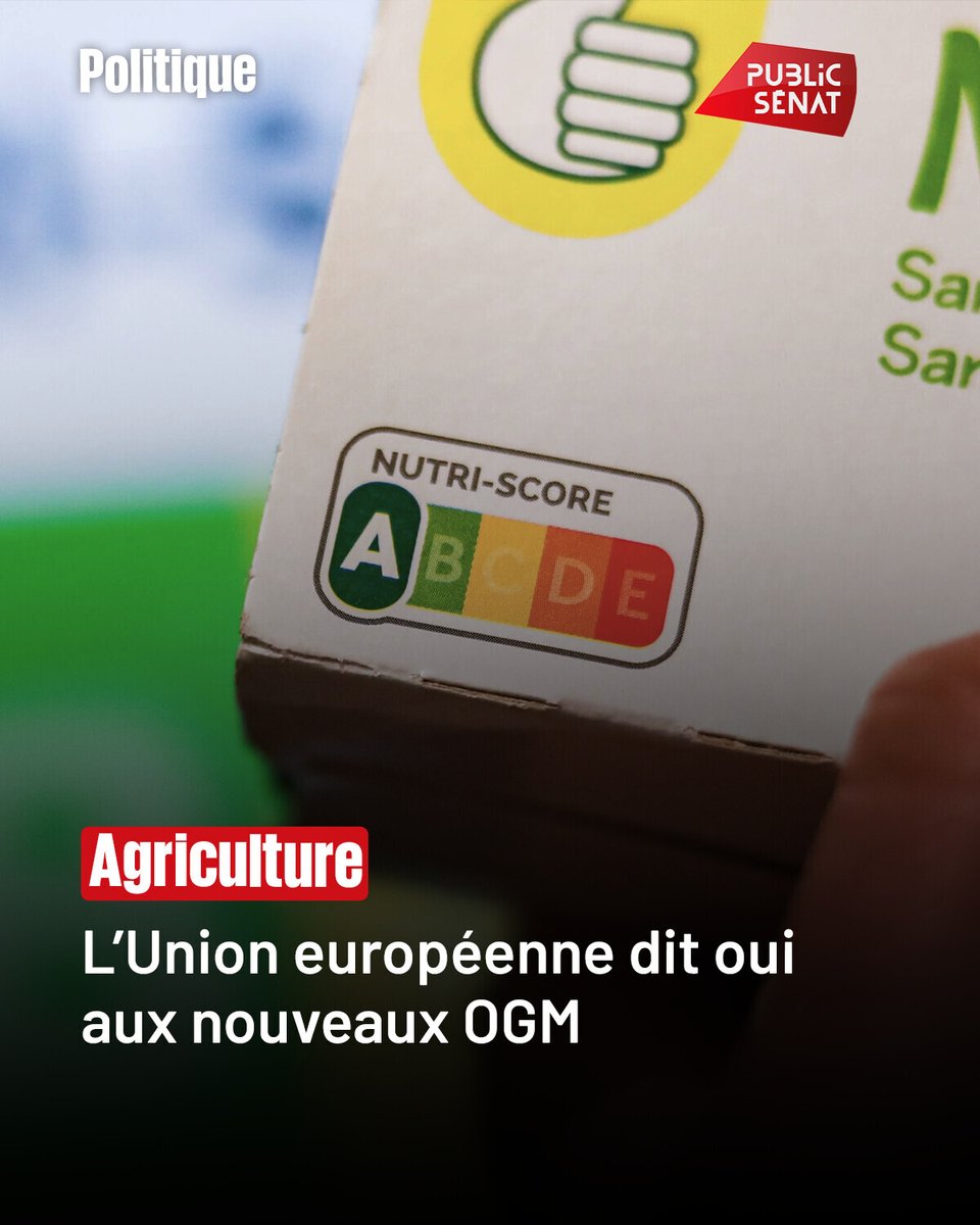 publicsenat's tweet photo. Les députés européens ont adopté un règlement qui facilite l’utilisation de nouvelles techniques génomiques (NGT) dans l’agriculture. Le but est de permettre aux cultures d’être plus résistantes, notamment face au changement climatique. 

➡️ https://t.co/AkP94ZAeIn https://t.co/ZPKv6qinRT