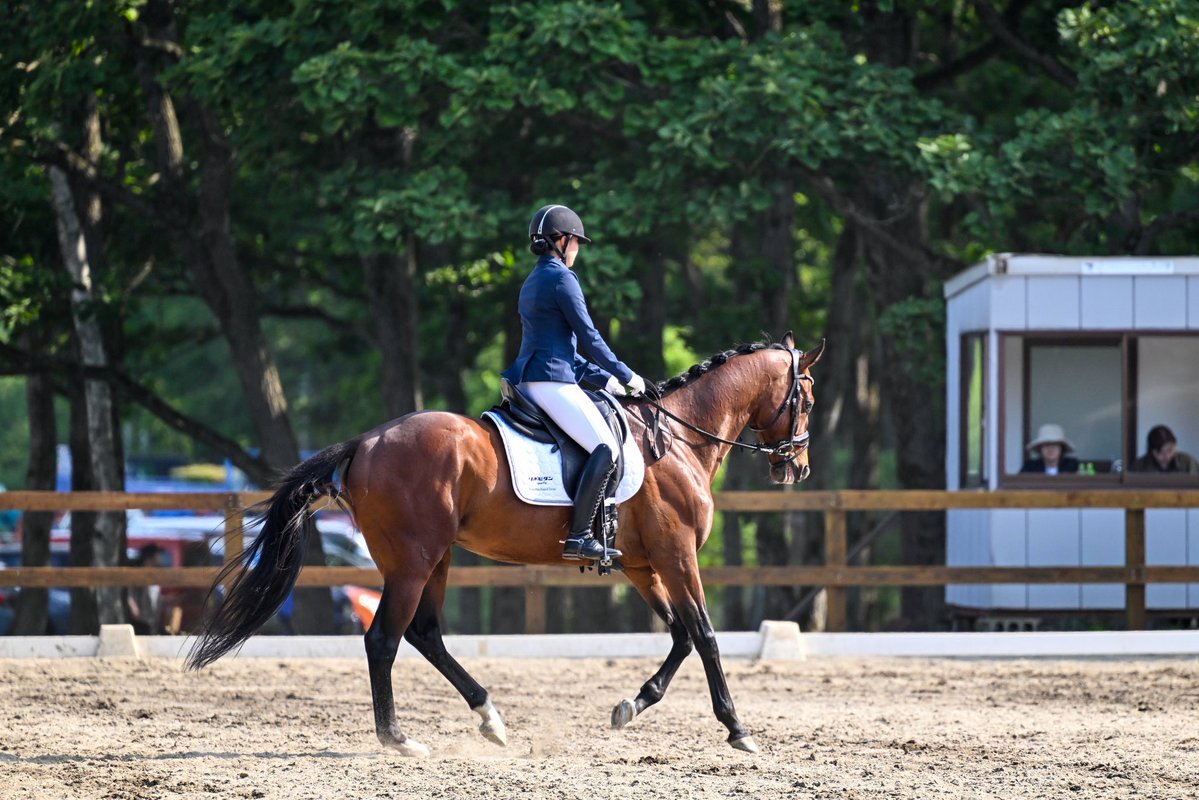 Versailles_Farm's tweet photo. ノーザンホースパーク競技会 初日🏇

クリノガウディーは久しぶりの大会。
気難しいところが出てしまい、少し悔いの残る結果となりました。

プラダリアは初めての大会にもかかわらず、本当によく頑張ってくれて、なんと5位入賞✨

ドーブネも初めての大会、初めてのコース走行。
社長との限られた時間での練習の中、本当によく頑張ってくれました！

そしてグローリアス姐さんは、安定感のある演技で見事2位🥈✨
さすがの頼もしさを見せてくれました！

それぞれに課題や収穫のあった一日。
みんな明日も頑張ります！

#クリノガウディー
#プラダリア
#ドーブネ
#リトレーニング
#馬術
#ノーザンホースパーク 
#Yogiboヴェルサイユリゾートファーム