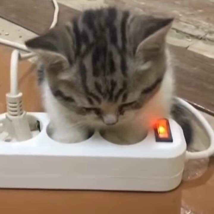 lynlivestherain's tweet photo. he’s so kitten coded here https://t.co/wjj0prGCtE