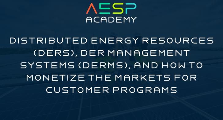 rateitgreen's tweet photo. Distributed Energy Resources (DERs), DER Management Systems (DERMS), and How to Monetize the Markets for Customer Programs, June 30, 12 - 4pm ET https://t.co/VFQJqdgOBw #AESP #utilities #energy #buildings #energymanagement #distributedenergy #energytransition #greenbuilding https://t.co/mtlZdCk4gc