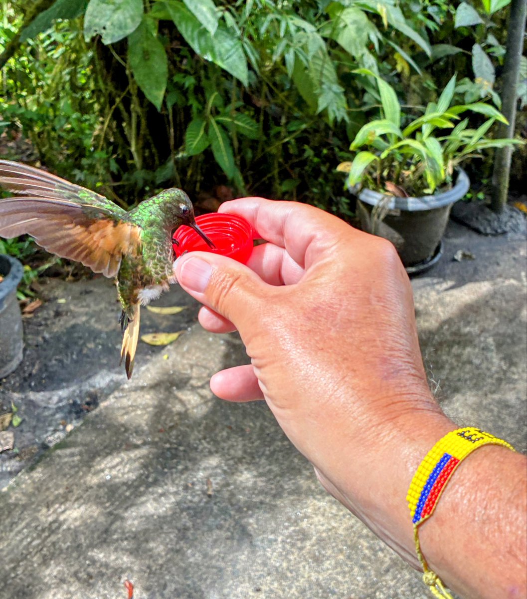 bobskiff's tweet photo. Good morning to all my compassionate friends!  Happy Saturday!  I hope your weekend is off to a beautiful start.

Take some time today to appreciate the little wonders that God has placed all around you.  And remember, no act of kindness, no matter how small, is ever wasted (Aesop).  ☕️🙏❤️🥰