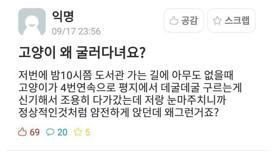 녹 tweet media