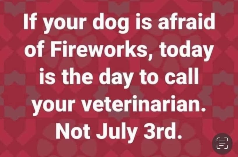woofknight's tweet photo. https://t.co/32aCFyI628