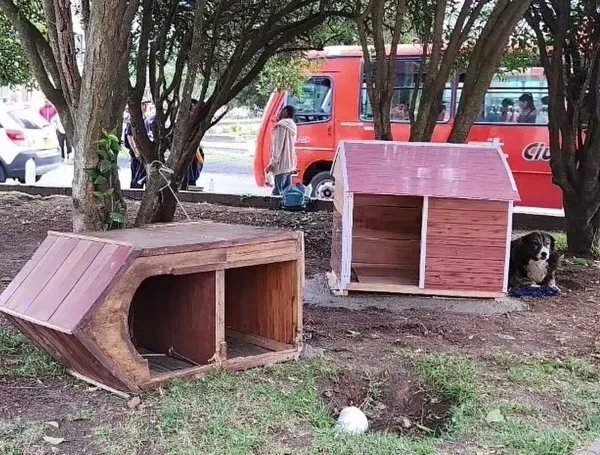 avivircaracol's tweet photo. 🐶🏠 Jeison Castillo, conocido como “El Arqui de los que no tienen voz,” nos acompaña en #AVivirQueSonDosDías para hablar sobre cómo construye refugios para animales en condición de calle utilizando materiales reciclados y el apoyo de la comunidad. ♻️🐾 https://t.co/52Gat2advc