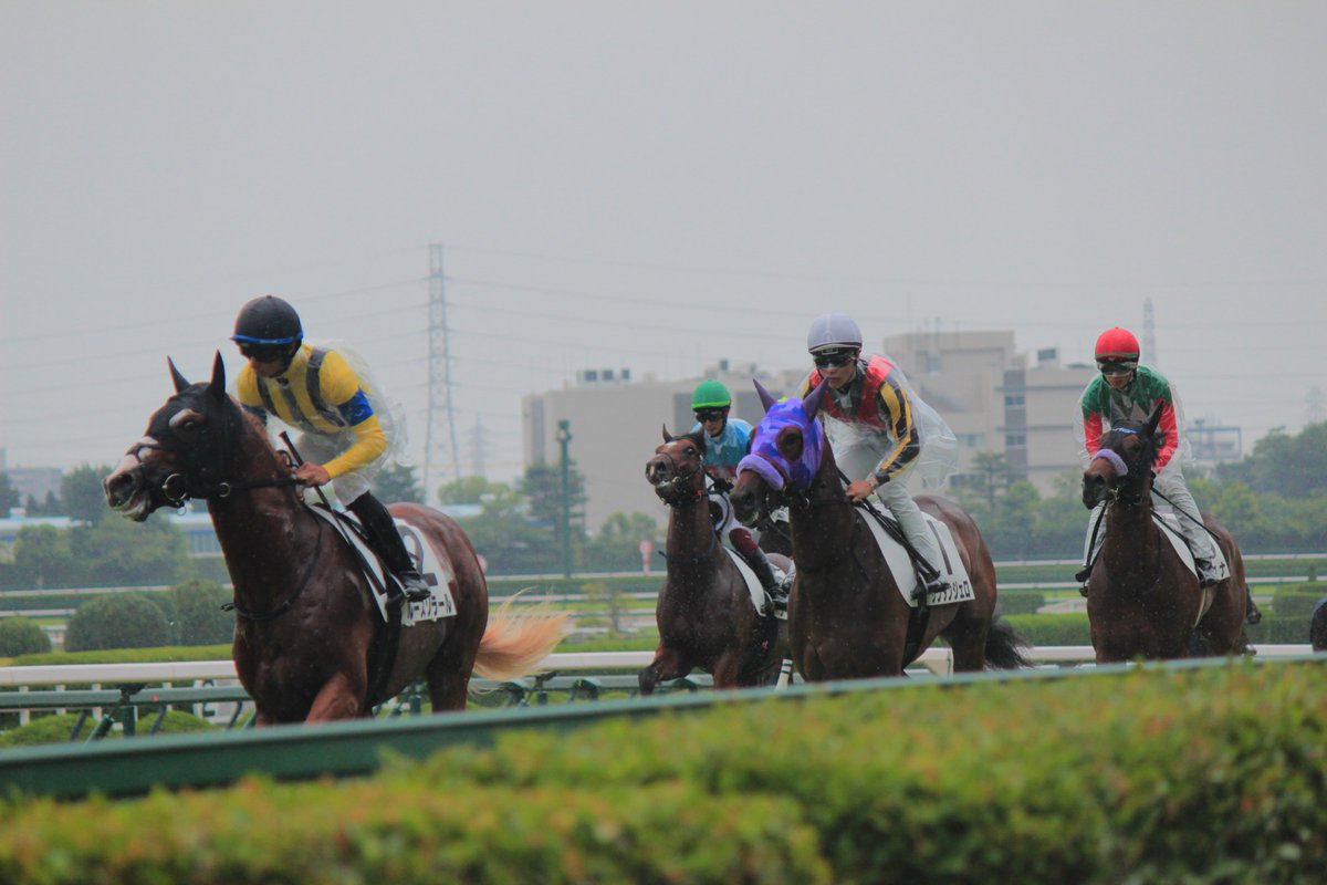 TanPoPo_spyt's tweet photo. 今日の新馬戦はサンタンジェロでした♪
雨の中よく頑張りました👏✨☔🏇 https://t.co/S9mDtU5gGS