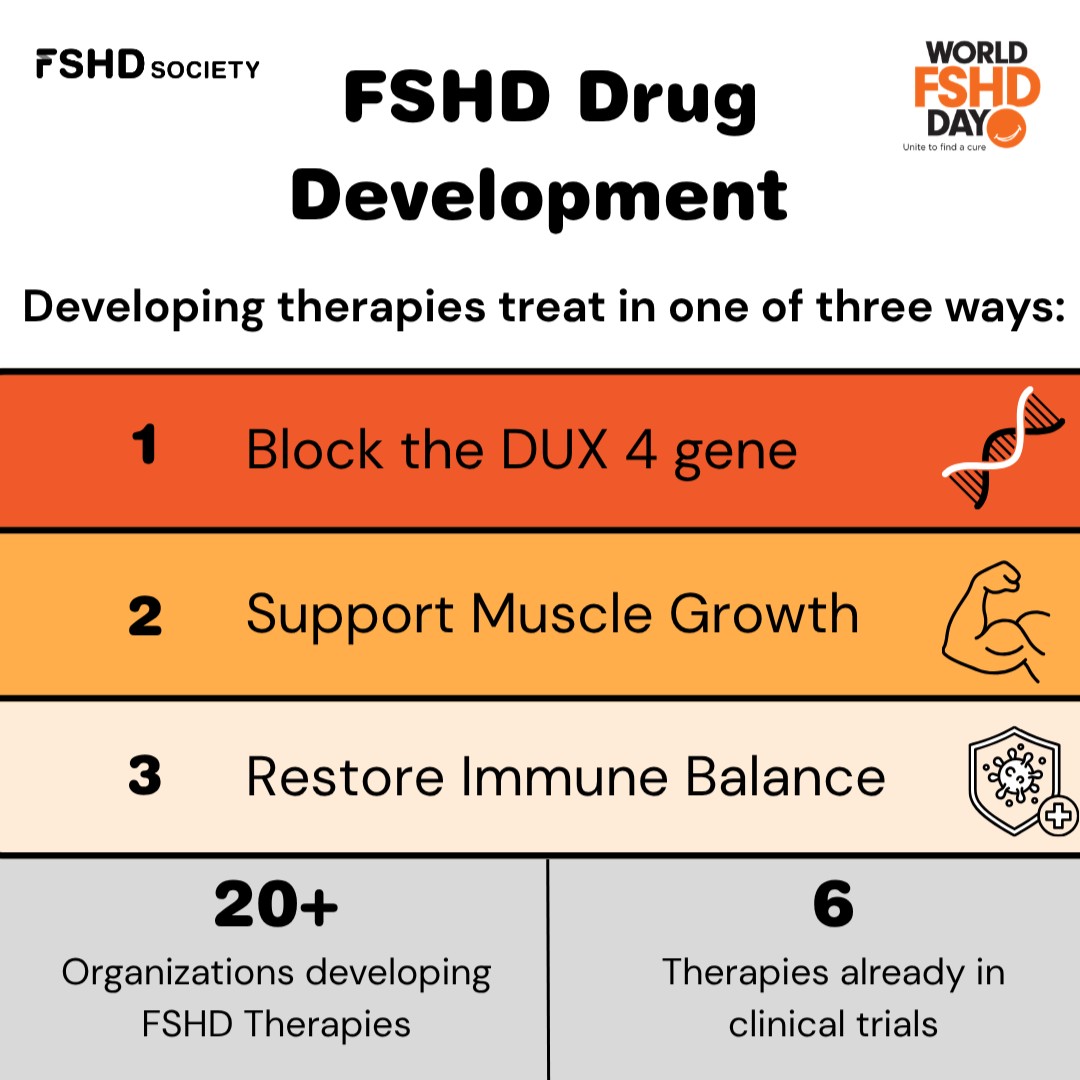 FSHDSociety's tweet photo. FSHD Research is moving quicker than ever before.

To learn more about the growing number of treatments in development, use the link below!
https://t.co/qmGkqTXHoT

#WorldFSHDDay #FSHD #FSHDResearch https://t.co/aDtzYMAqi1