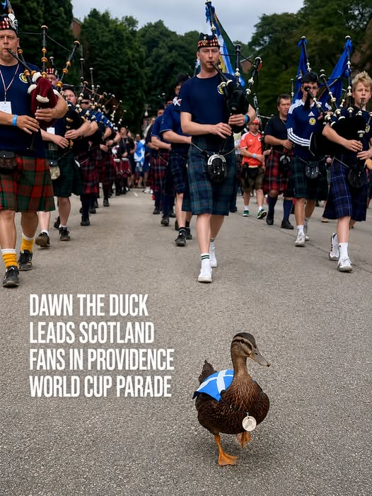 ElBadiablo's tweet photo. Es el año de los patos. Dawn the Duck has entered the game. https://t.co/KWtwuU9U6l
