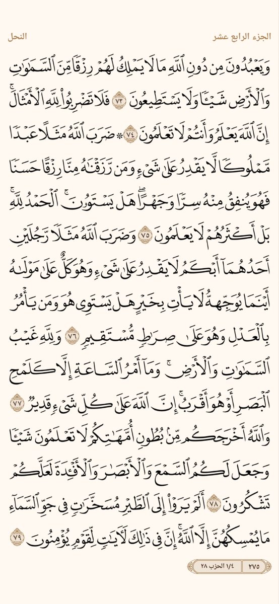 المُصْحَفْ tweet media