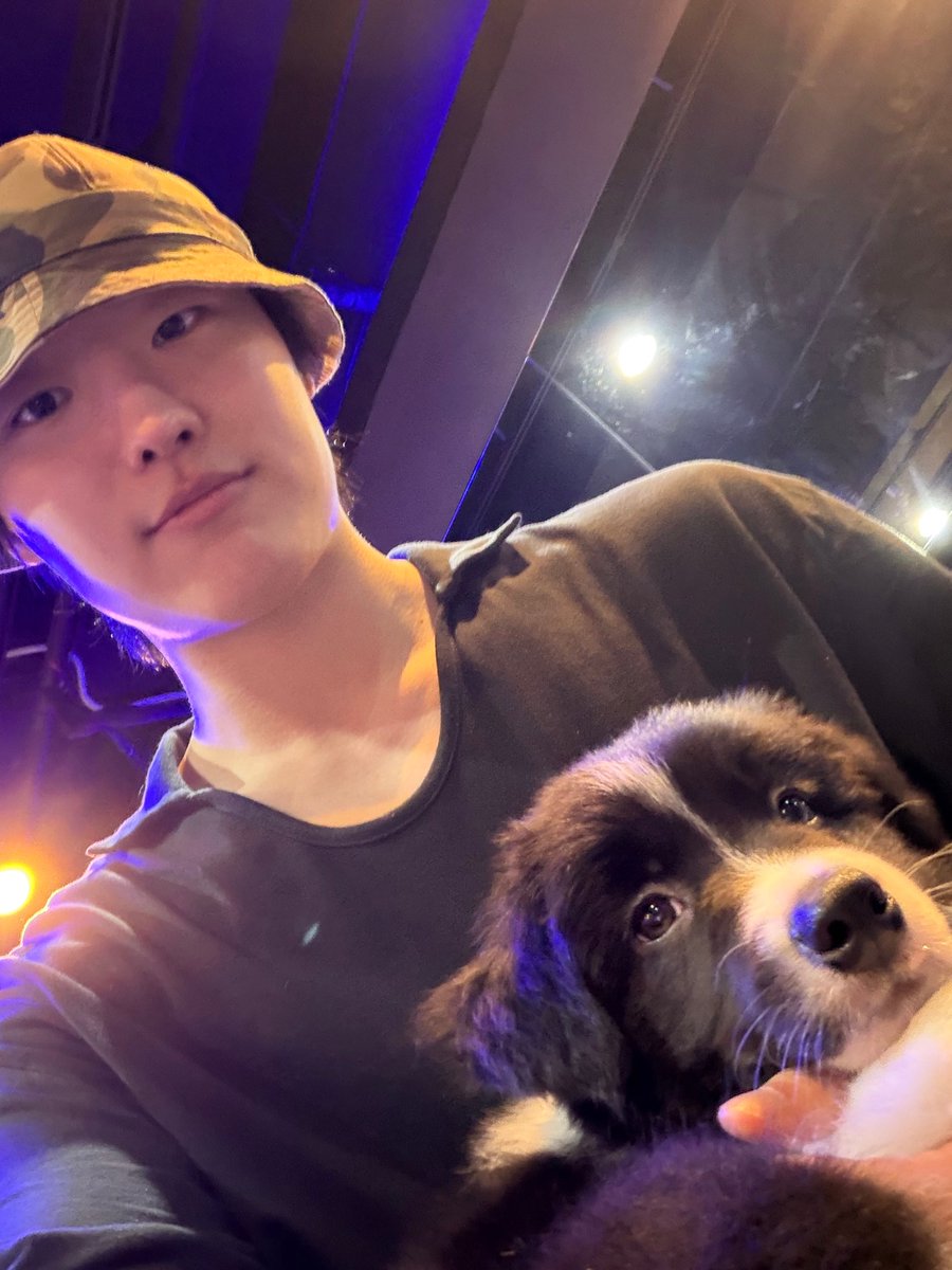s2WOODZ_SY's tweet photo. ㅜㅜㅠ 너네 진짜 귀엽다~~~ https://t.co/3haUSILfl6