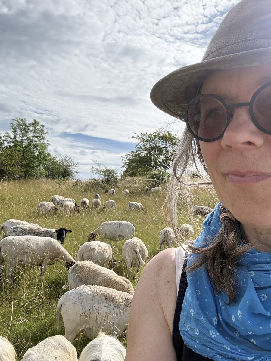 Ziegenmama's tweet photo. Die gefürchtete Sommerhitze. Täglich wird es trockener und anstrengender. Ich stehe in der Dämmerung auf, versorge 3 Herden mit Wasser, kontrolliere Tiere, Zäune. Abends nochmals das selbe. Es ist anstrengend. Die #Hitze lähmt. #Schäferin https://t.co/EJ2oIpgetl