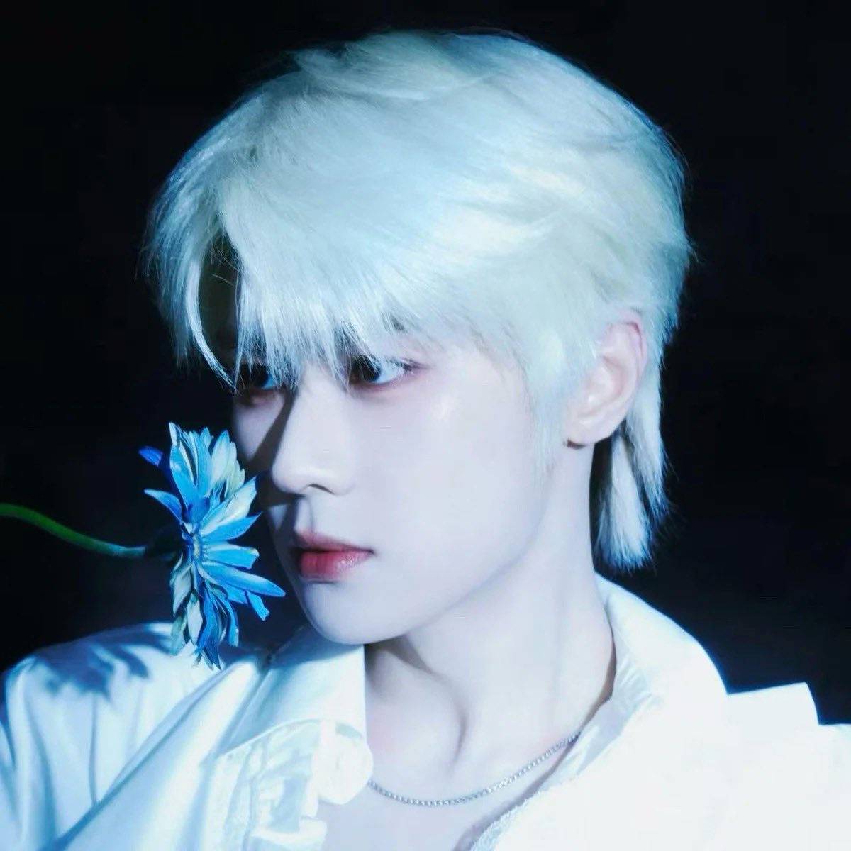 xiaojun_xdj's tweet photo. KUN QQMUSIC PROFILE UPDATED 😍 https://t.co/K2jKL7f96M