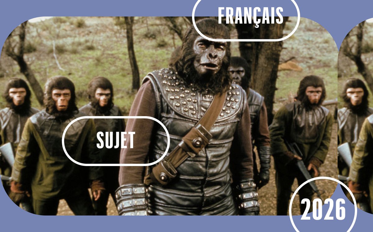 le_Parisien's tweet photo. Brevet 2026 : le sujet de Français pour l’étranger (Afrique, Europe…)
➡️ https://t.co/zCiLM5w0MZ https://t.co/7q0GRWgGCc