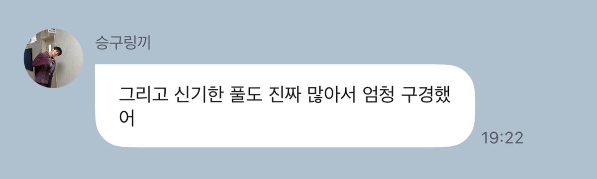 SVNS2T's tweet photo. 강아지 https://t.co/qdpT6jSKRL