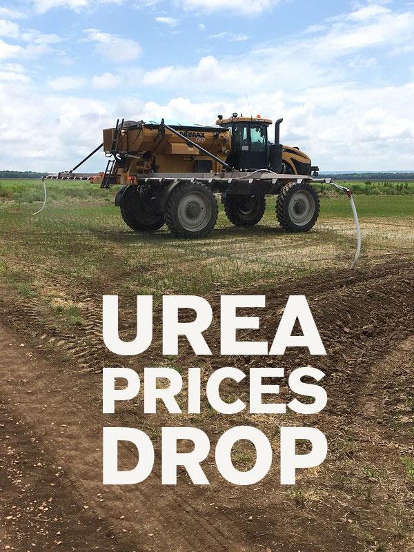 AginArk's tweet photo. Prices for a key crop fertilizer have finally begun to ease, but is it in time for Arkansas farmers? 
https://t.co/7WCQKmfMTY https://t.co/yGif1bNR8Z
