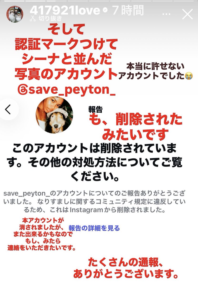 banibanibingo's tweet photo. 🙇‍♀️ご協力のお願い🙇‍♀️
シェル友さんの亡き愛犬の闘病中の写真を使い、寄附を集める悪質な海外クソ垢💢
Instagramの方は削除されて来ましたが、Xは残ってます😡
4枚目、X垢です。
どうか報告にご協力をお願いします🙇‍♀️
勝手に別の名前を付けてシーナちゃんの尊厳を汚す行為は許せません‼️
シーナちゃんの写真に知らん女性を合成させたアイコン、飼い主さんがどんな気持ちになるかと思うと🥶🔥
飼い主さんはX使ってないので代理ポストします。