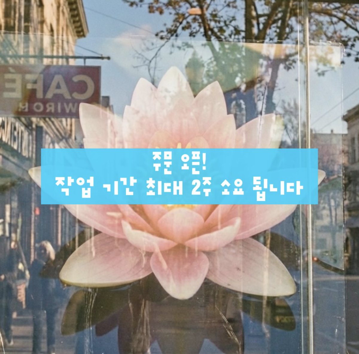 suryon_isla's tweet photo. 수련섬 네일팁 주문 오픈했습니다!
기다려주신 분들 감사합니다.♡ 
제작 기간은 최대 2주 소요 되며, 주문이 몰릴 경우 다시 주문 마감 될 수 있습니다! https://t.co/RFrwPQhjBi