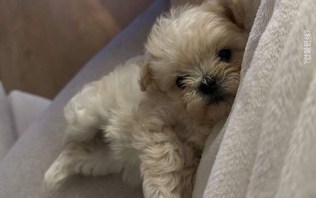 katajiminbluu's tweet photo. ไม่ต้องถามว่าลูกใคร https://t.co/EQME8Jqvm4