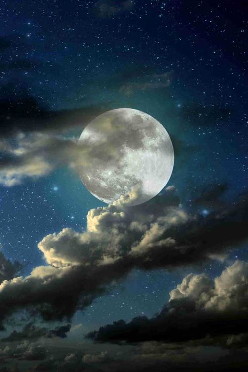 MoonL79480's tweet photo. https://t.co/kHKtDnYLOh