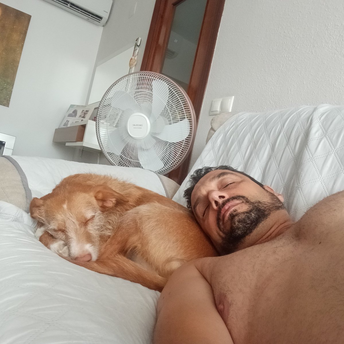 fjav13r's tweet photo. Día de perros o siesta molona.... 💤🐕 https://t.co/P5EYxBfMIU