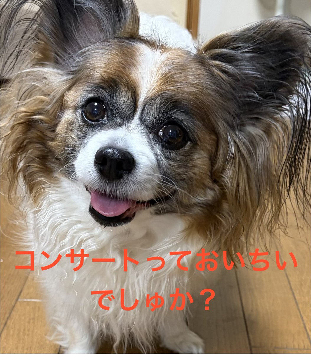 meidawan's tweet photo. @rakurakumail241 ありがとうございます😊 https://t.co/e0eKNx8SkR