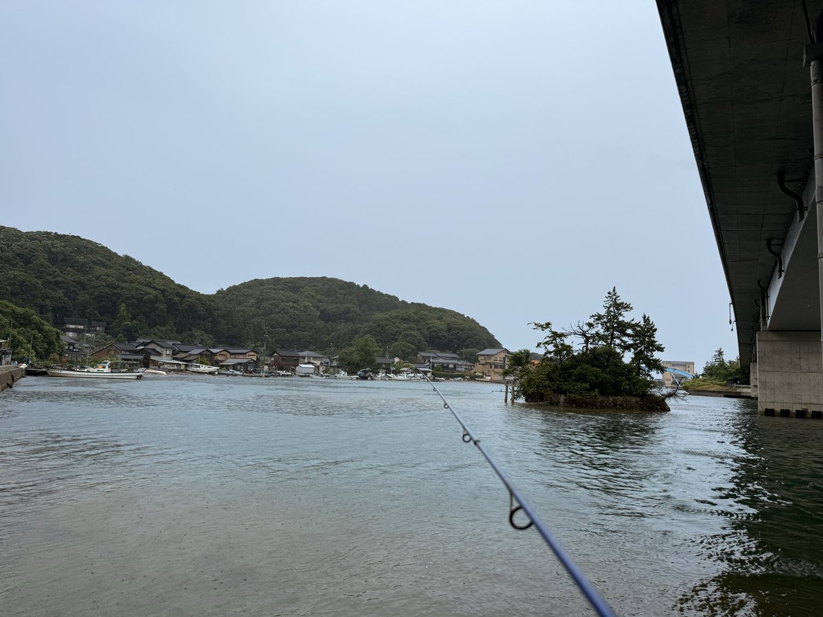 spdspd's tweet photo. 雨の合間を縫って、男は三分ほどだけ竿を出した。

釣果を期待した訳ではない。

海の機嫌を窺うには、それで充分だったのである。

もっとも海は終始無言で、男もまた何も得ぬまま竿を畳んだ。だが、それで不足はなかった。 https://t.co/Cgaxe3n96p