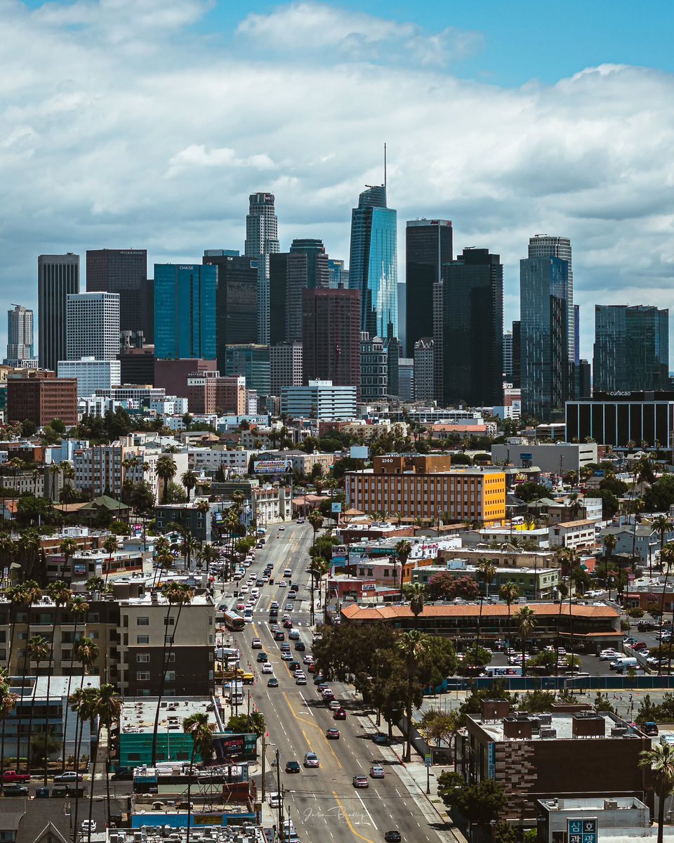 NatureRoot88's tweet photo. Los Angeles 🇺🇸 https://t.co/jLJ2Lg36mI