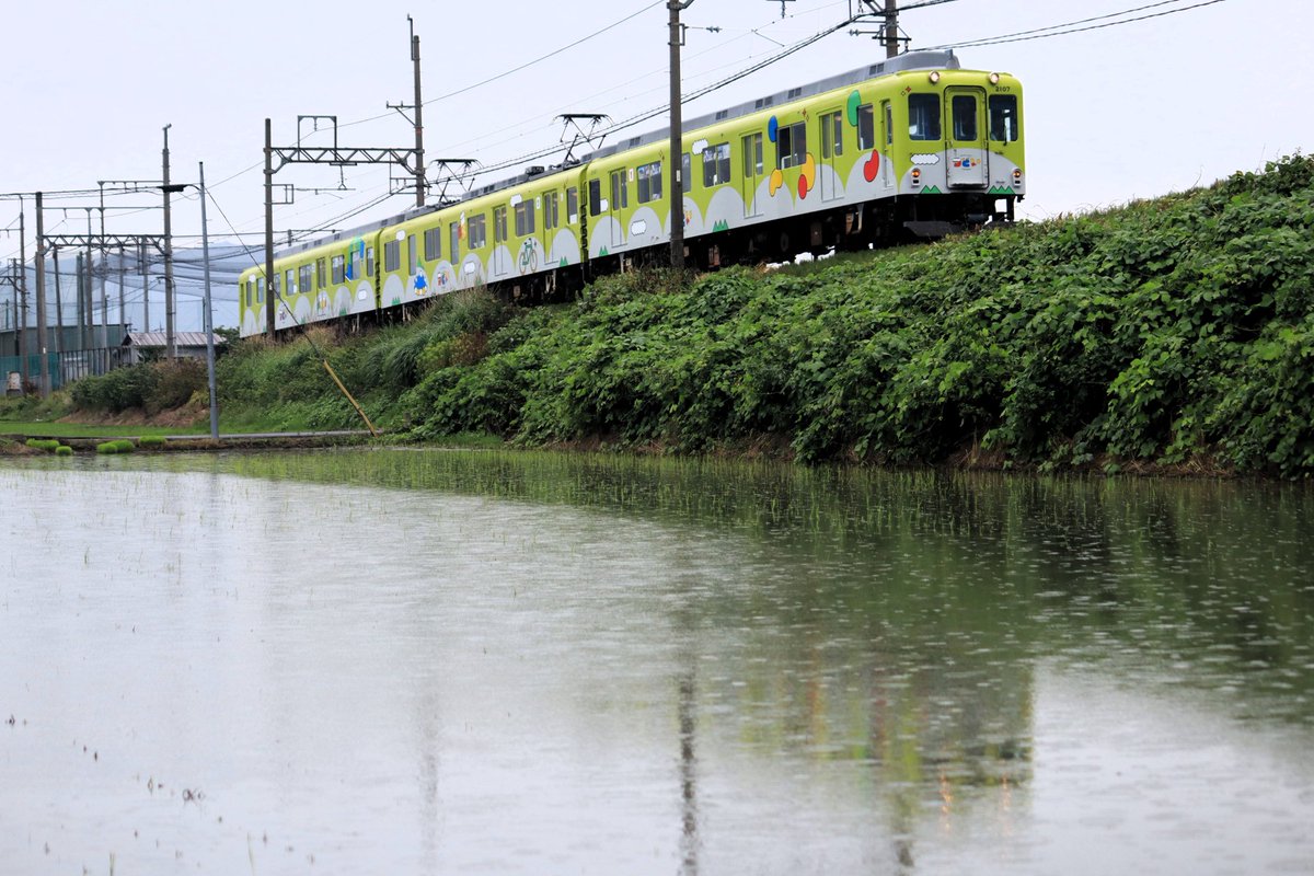 d51tom's tweet photo. 長龍ブリューパーク列車
『つどい』で箸尾の長龍ブリューパークに行くツアー。
2年振りに『つどい』が田原本線に入線しました。20日はあいにくの雨でした。
#近鉄
#つどい
#長龍ブリューパーク
#田原本線 https://t.co/QqmX67EErv