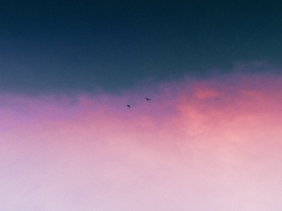 arthextic's tweet photo. have you ever confused reality with a dream https://t.co/RLrSqIqtJH